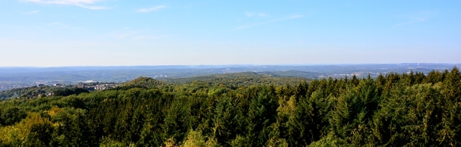 wander wald landschaft