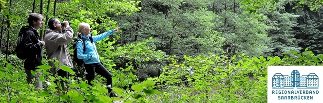 wander gruppe saarland saarbrücken
