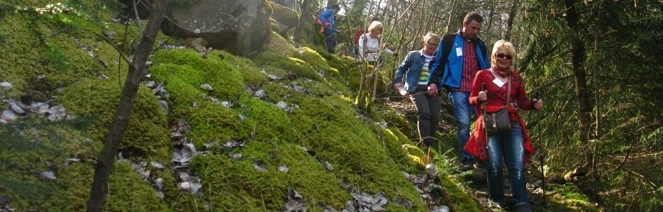 wander gruppe saarland abstieg