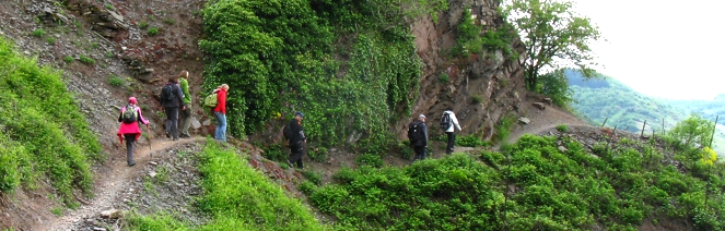 wander gruppe mosel weinberg