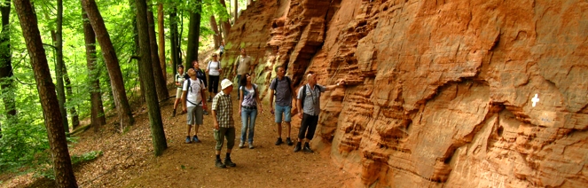 wander gruppe pfälzerwald sandstein