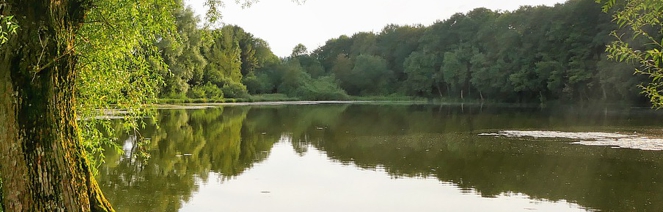 saarland weiher see
