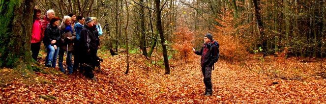 wander gruppe saarland