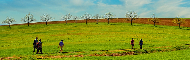 wander gruppe saarland