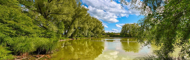 saarland weiher see