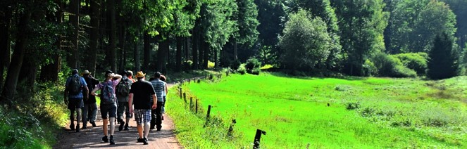 wander gruppe saarland erlebnis
